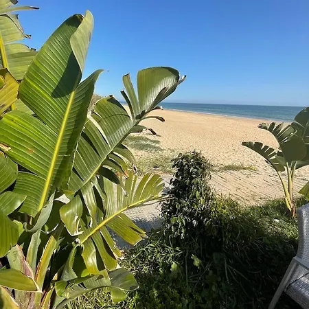 Terrazas Islantilla Huelva